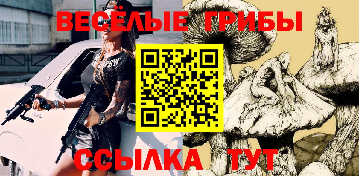 Псилоцибиновые грибы мухоморы Петропавловск-Камчатский