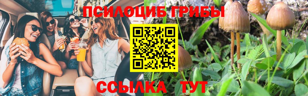 Петропавловск-Камчатский  Галлюциногенные грибы Psilocybine cubensis  Вход с VPN 